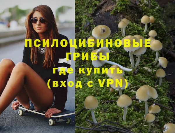 ECSTASY Армянск
