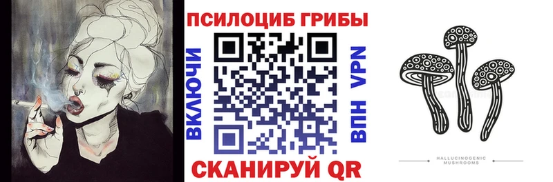купить Таруса Галлюциногенные грибы MAGIC MUSHROOMS